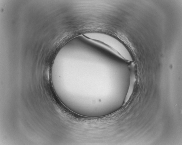 X0000087020021200705071521