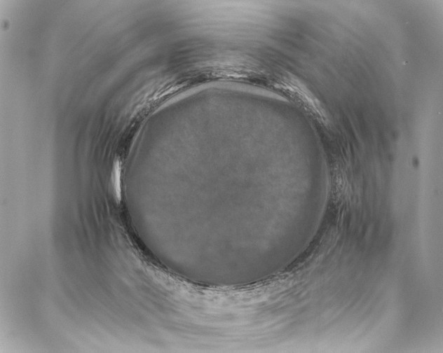 X0000087020022200705071521