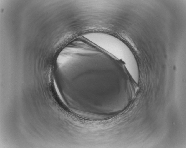 X0000087020023200705071521