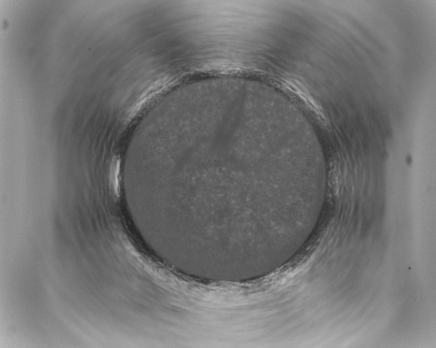 X0000087020024200705071521