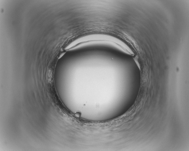 X0000087020025200705071521