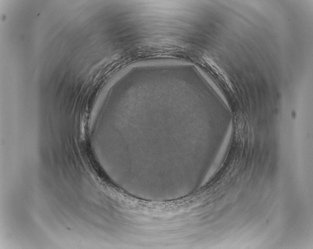 X0000087020026200705071521