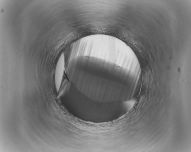 X0000087020027200705071521