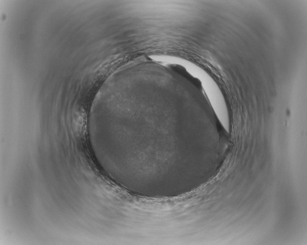 X0000087020029200705071521