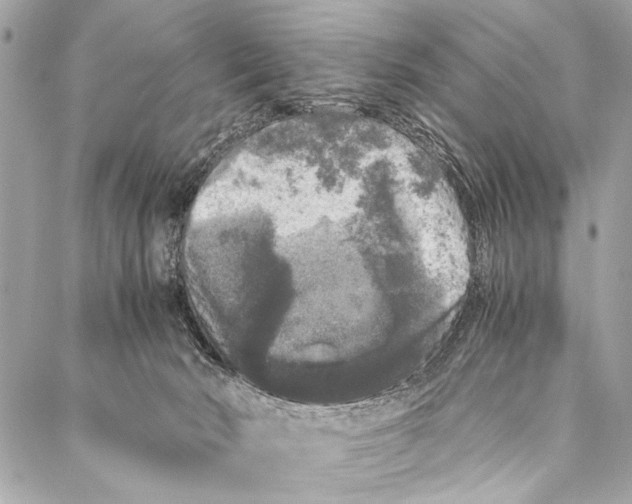 X0000087020030200705071521