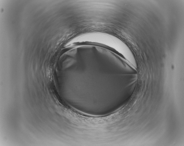 X0000087020031200705071521