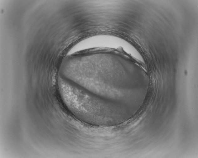 X0000087020032200705071521