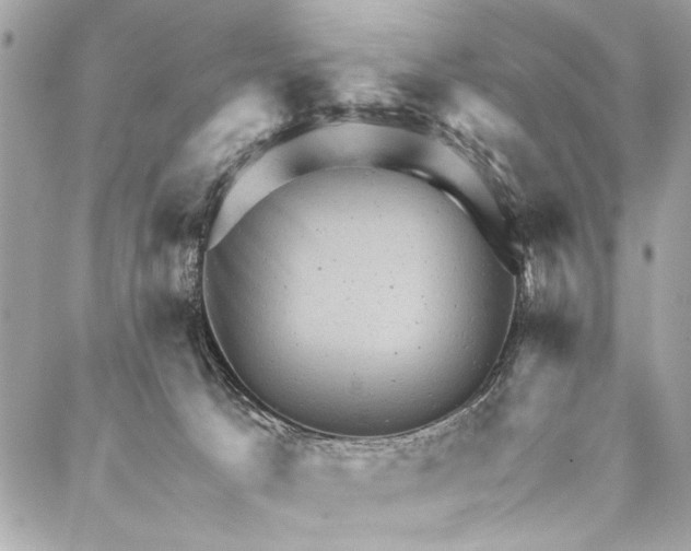 X0000087020033200705071521