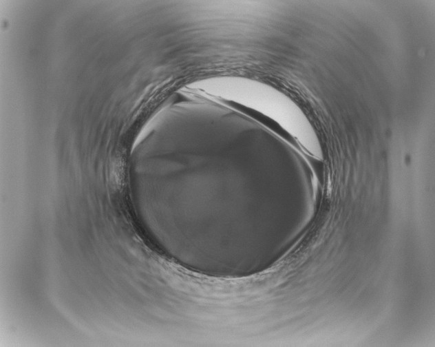 X0000087020035200705071521