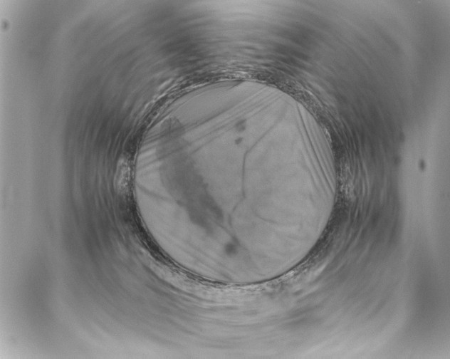 X0000087020036200705071520