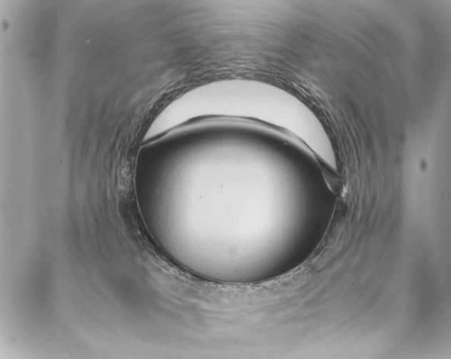 X0000087020037200705071520