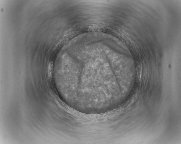 X0000087020038200705071520