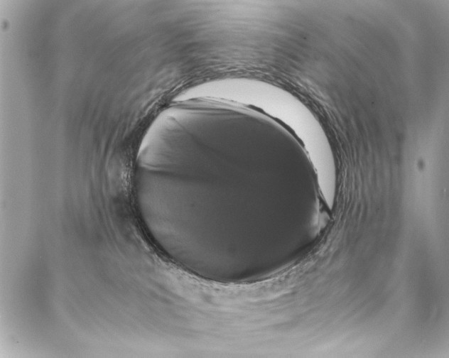 X0000087020039200705071520