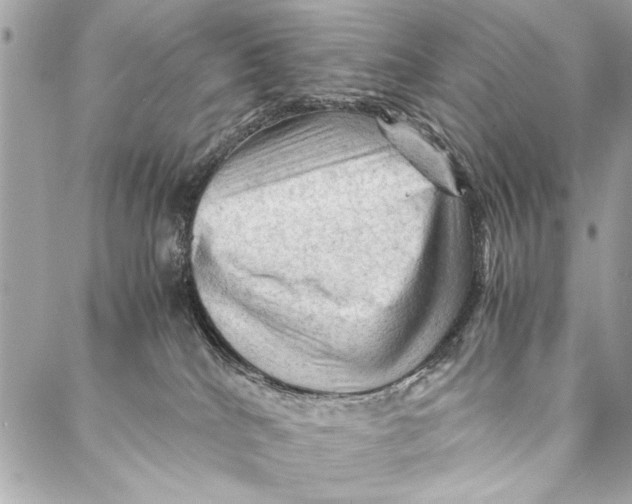 X0000087020040200705071520