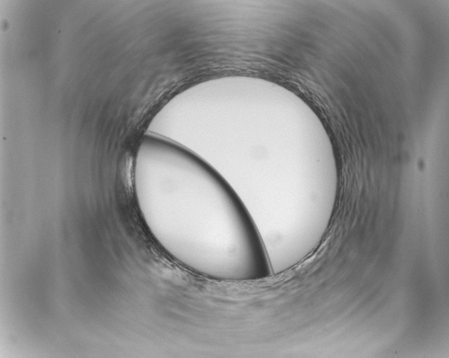 X0000087020041200705071520