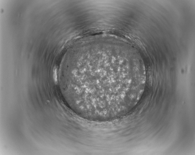 X0000087020042200705071520