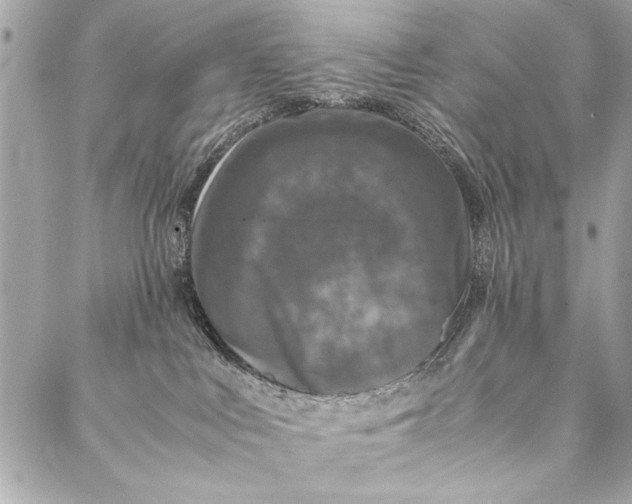 X0000087020043200705071520