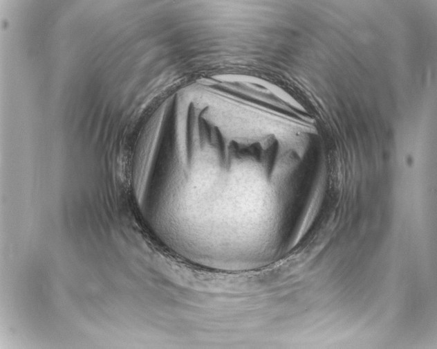 X0000087020044200705071520