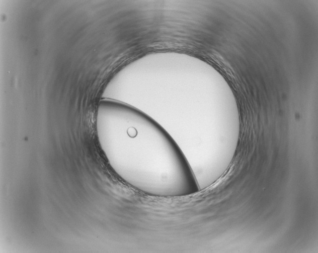 X0000087020045200705071520