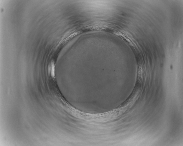 X0000087020046200705071520