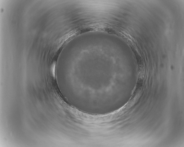 X0000087020047200705071520