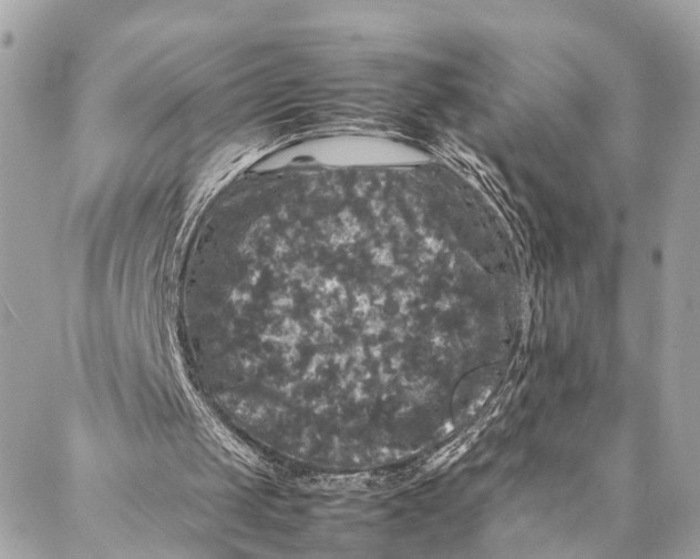 X0000087020049200705071520