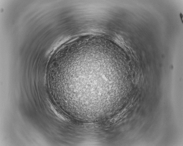 X0000087020050200705071520