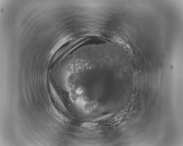 X0000087020051200705071520