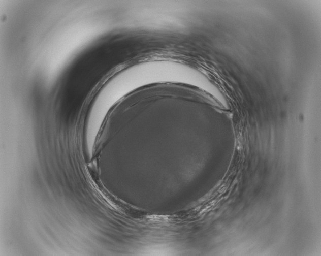 X0000087020052200705071520