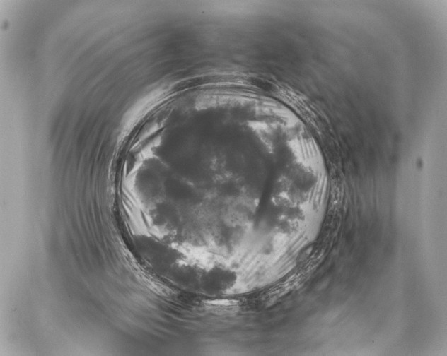 X0000087020053200705071520