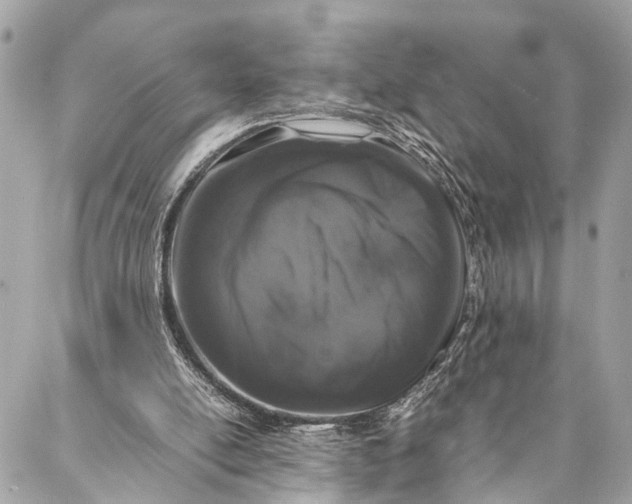 X0000087020054200705071520