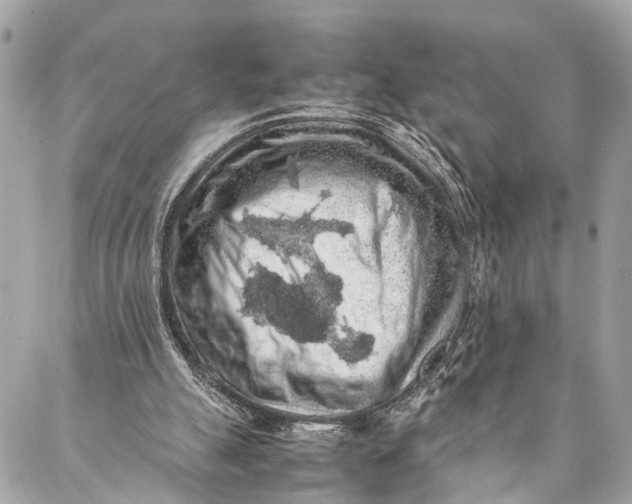 X0000087020055200705071520