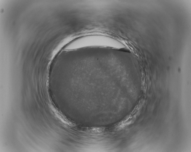 X0000087020056200705071520