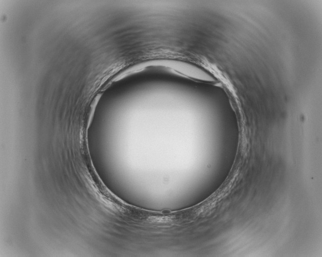 X0000087020057200705071520