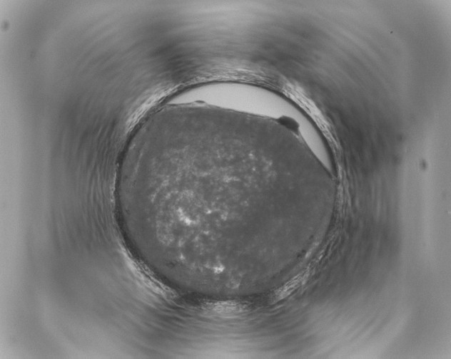 X0000087020058200705071520