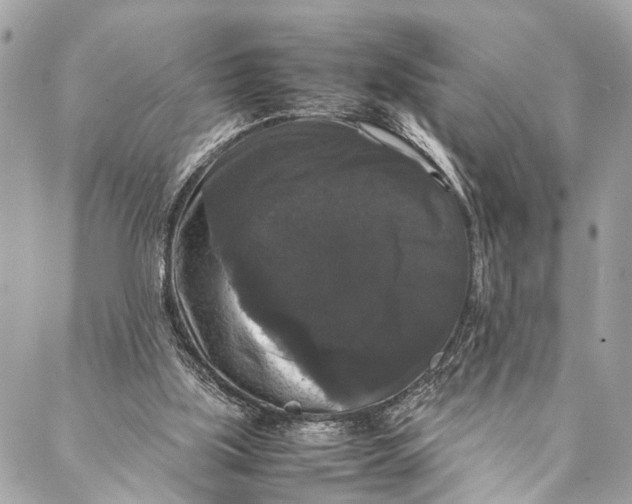 X0000087020059200705071520