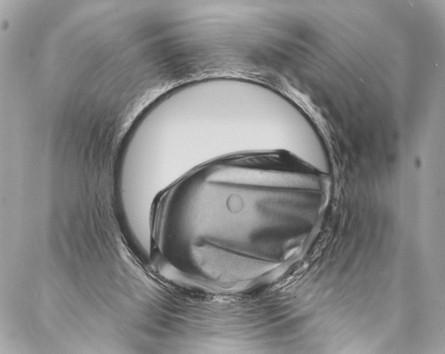 X0000087020060200705071520