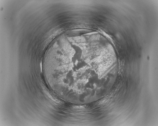 X0000087020061200705071520