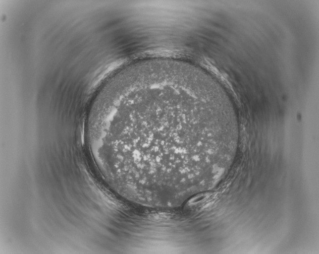 X0000087020062200705071520