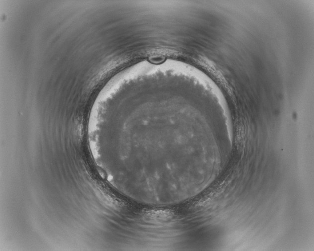 X0000087020063200705071520