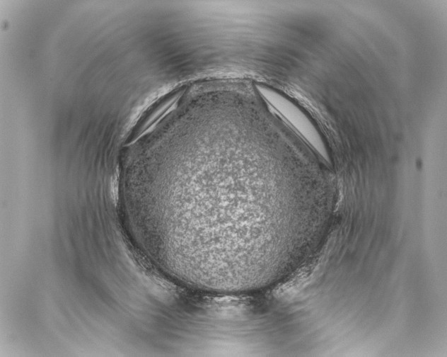 X0000087020064200705071520