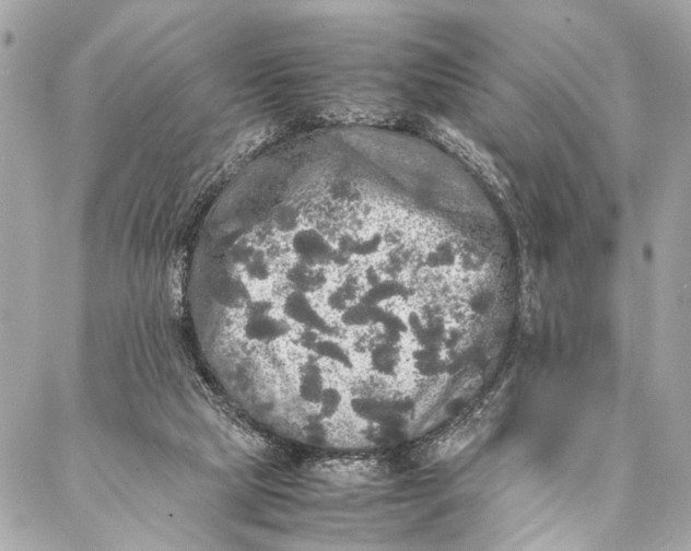 X0000087020065200705071520