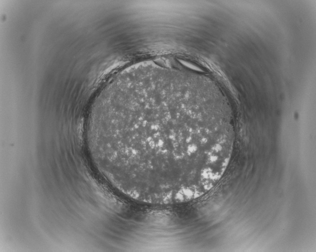 X0000087020066200705071520