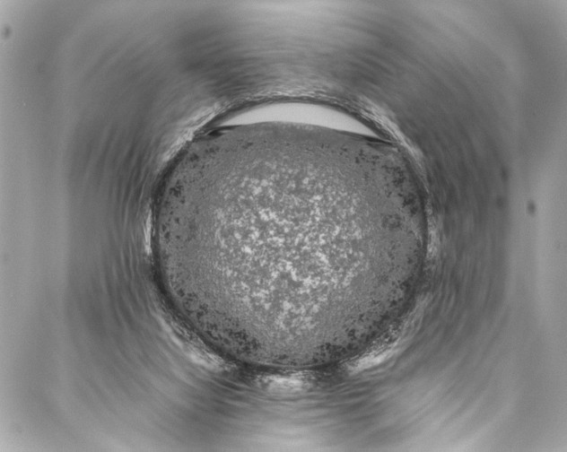 X0000087020068200705071520