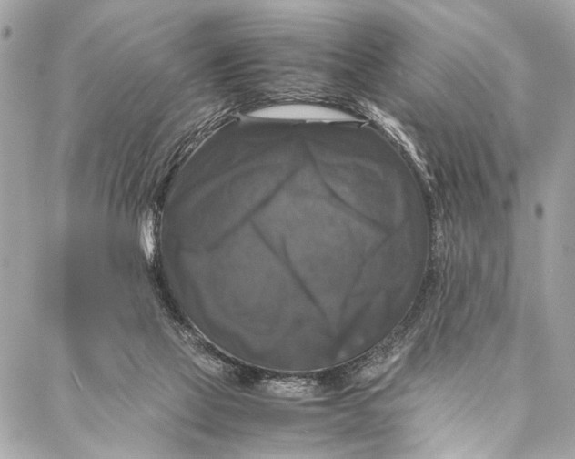 X0000087020069200705071520