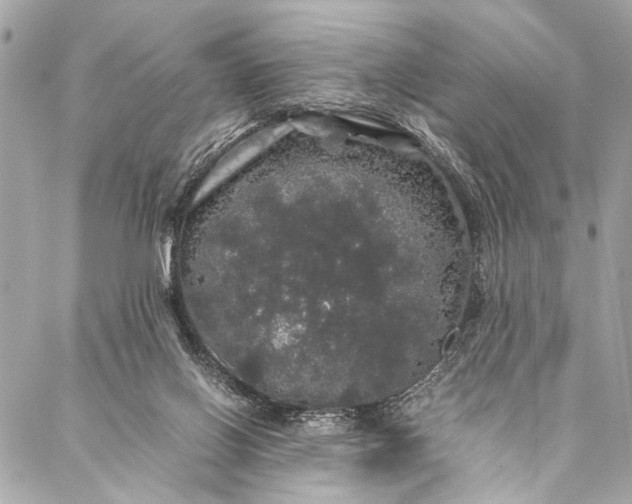 X0000087020070200705071520