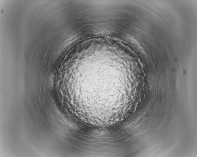 X0000087020071200705071520