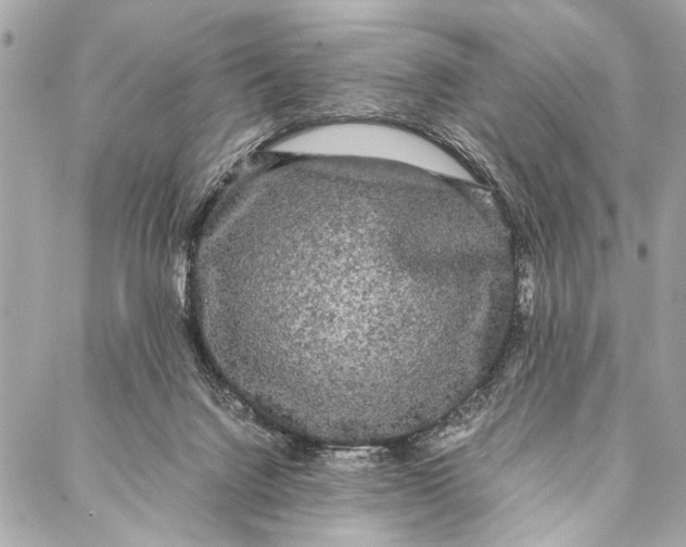 X0000087020072200705071520