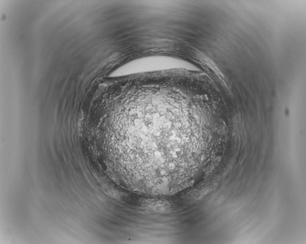 X0000087020073200705071520