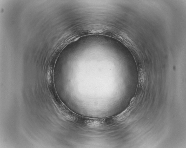 X0000087020074200705071520